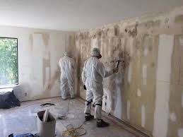 Professional Mold Removal & Remediation in South Bay, FL